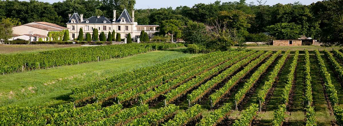 Chateau Meyre Avensan Εξωτερικό φωτογραφία