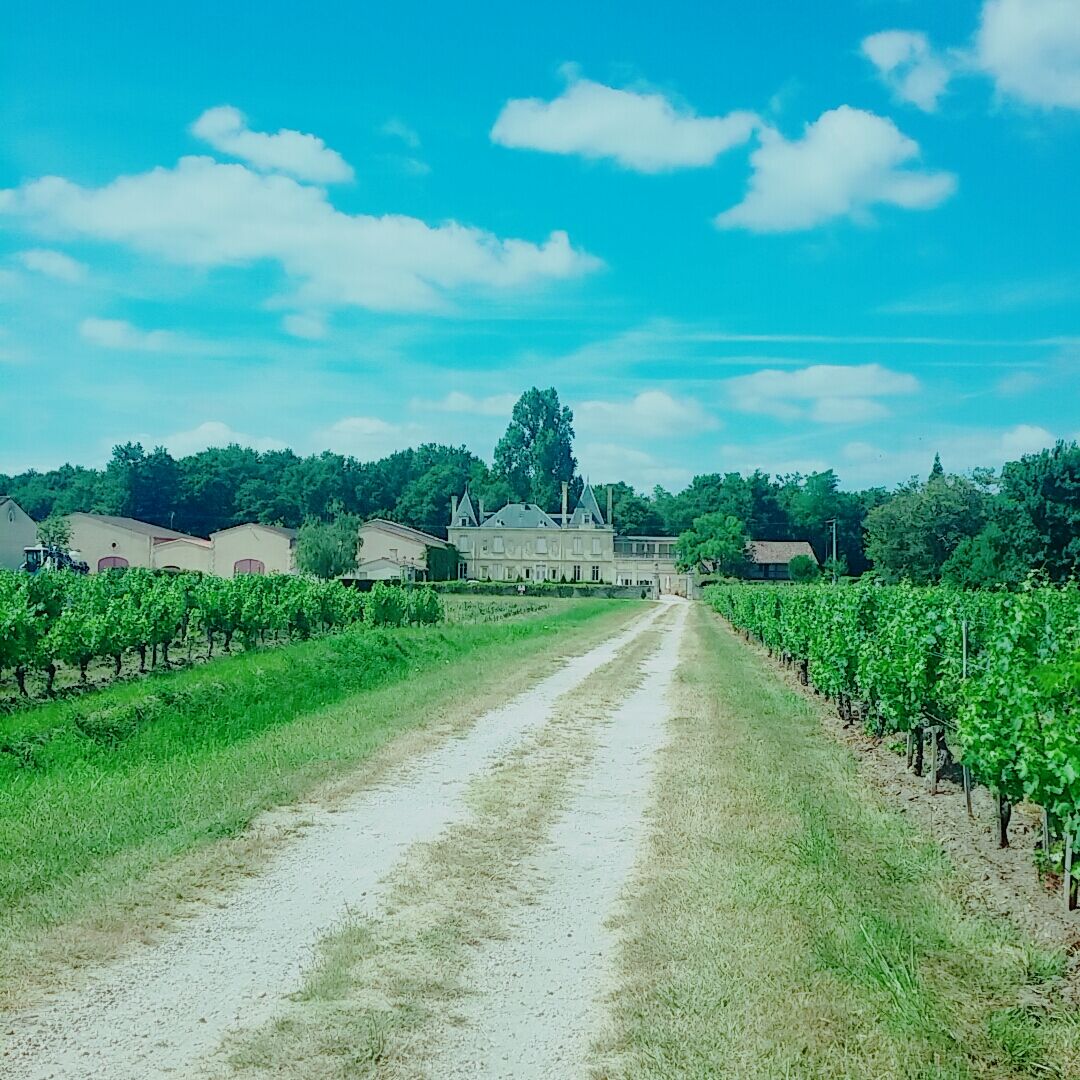 Chateau Meyre Avensan Εξωτερικό φωτογραφία